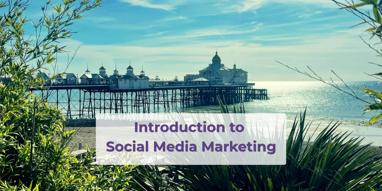 Promotional image for Introduction to Social Media Marketing Workshop